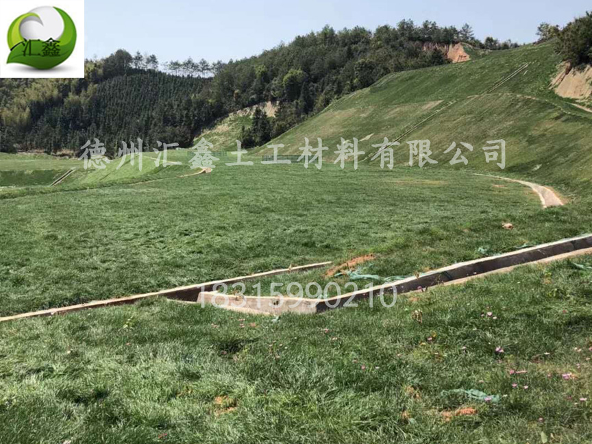 中鐵七局西藏公司國道214項目護坡椰絲生態毯