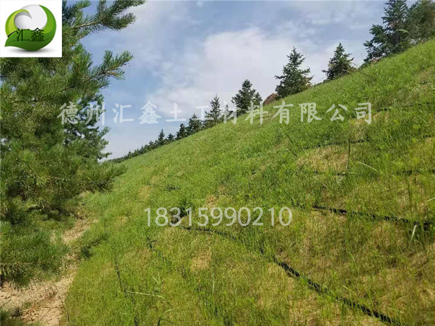 護坡植草毯廠家常用的草籽有哪些？