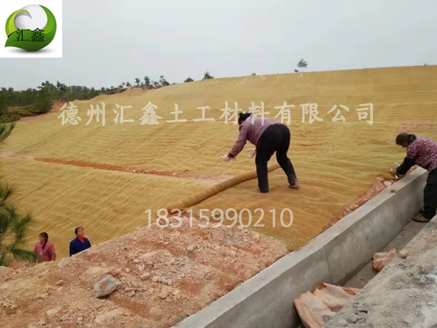 植物纖維毯與傳統(tǒng)草皮的對(duì)比