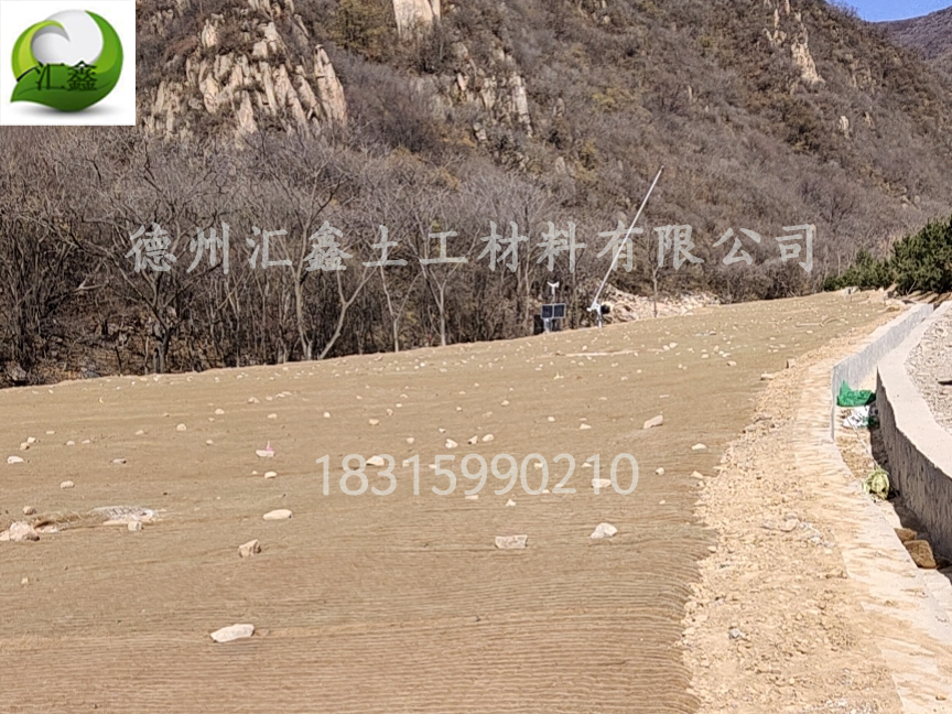 瀟河綜合治理用植生毯護坡