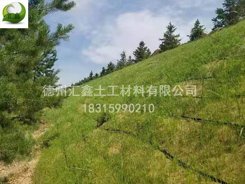 生態草毯在護坡中的作用(圖3)
