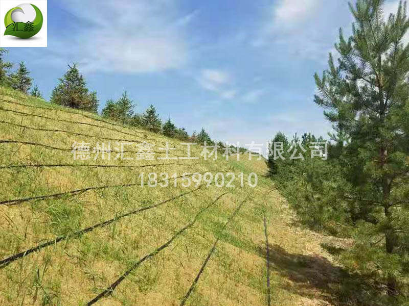 生態草毯在護坡中的作用