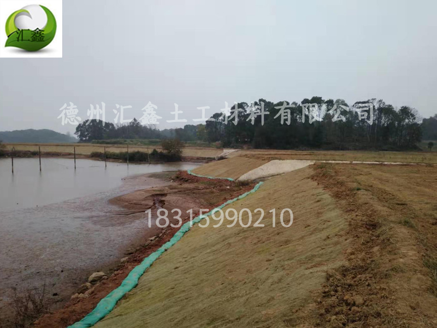 河道護坡綠化護坡植草毯