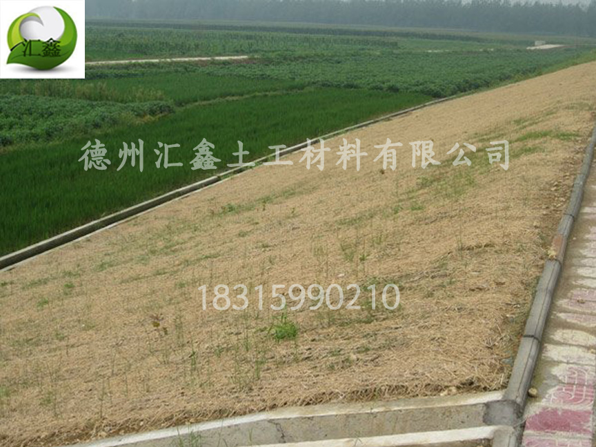 生態草毯是怎樣護坡綠化的？