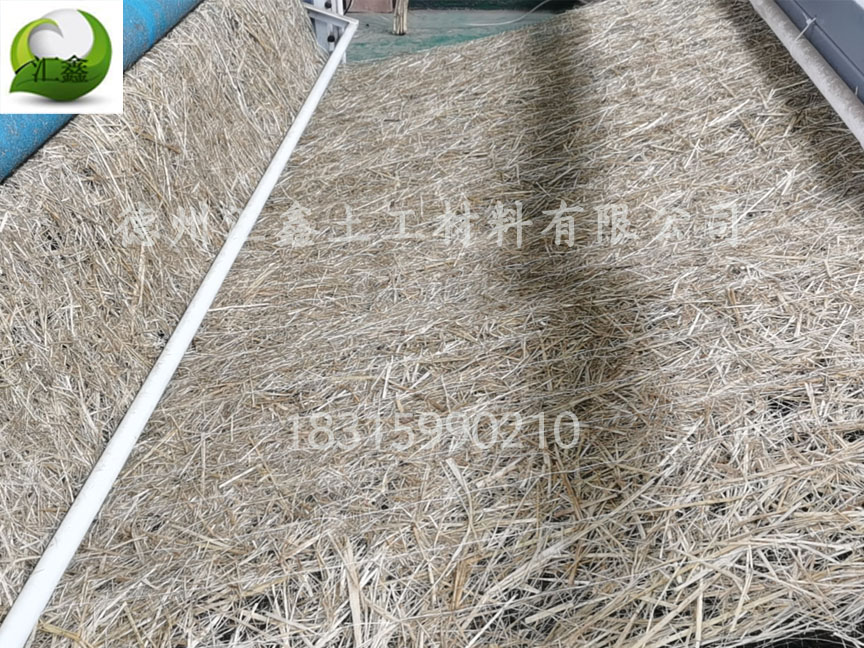 植生毯應用在哪些地方？