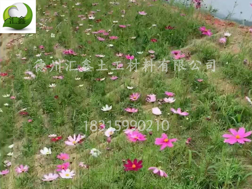 生態(tài)草毯有什么特點(diǎn)？