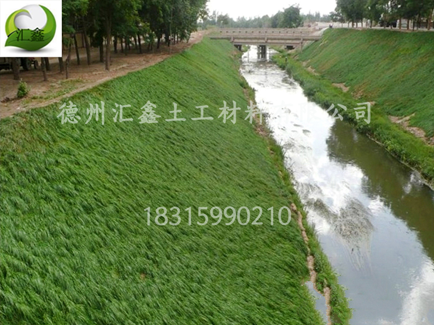 護(hù)坡植草毯在護(hù)坡綠化中的作用