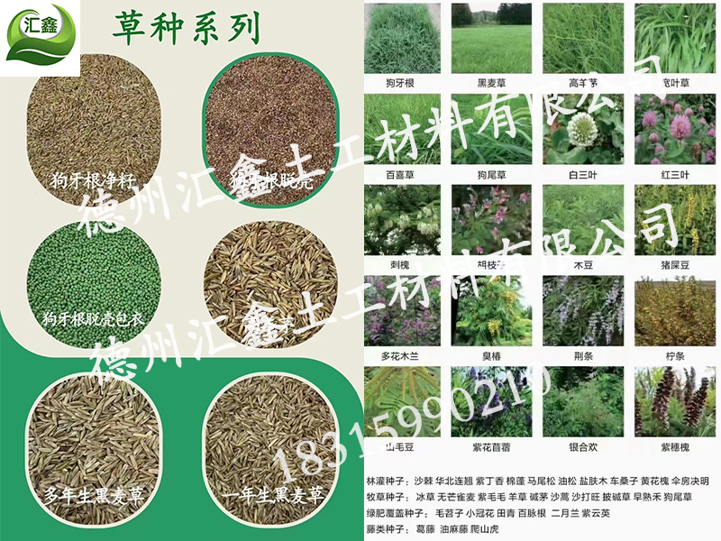 草種