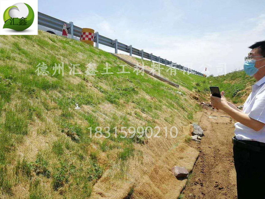 贛州尋烏縣公路邊坡植物纖維毯防護(hù)工程(圖2)