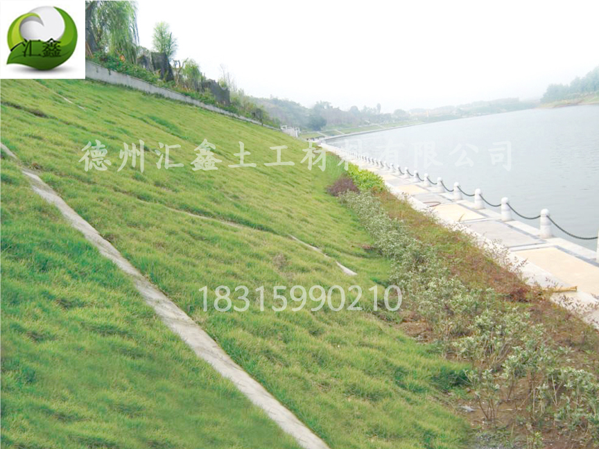 浙江溫州小型河道湖泊治理用生態草毯(圖2)