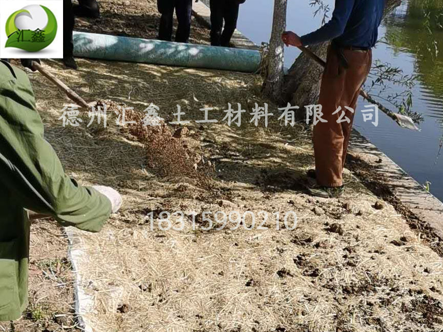 唐山公園人工湖邊坡護坡工程用草毯(圖1)