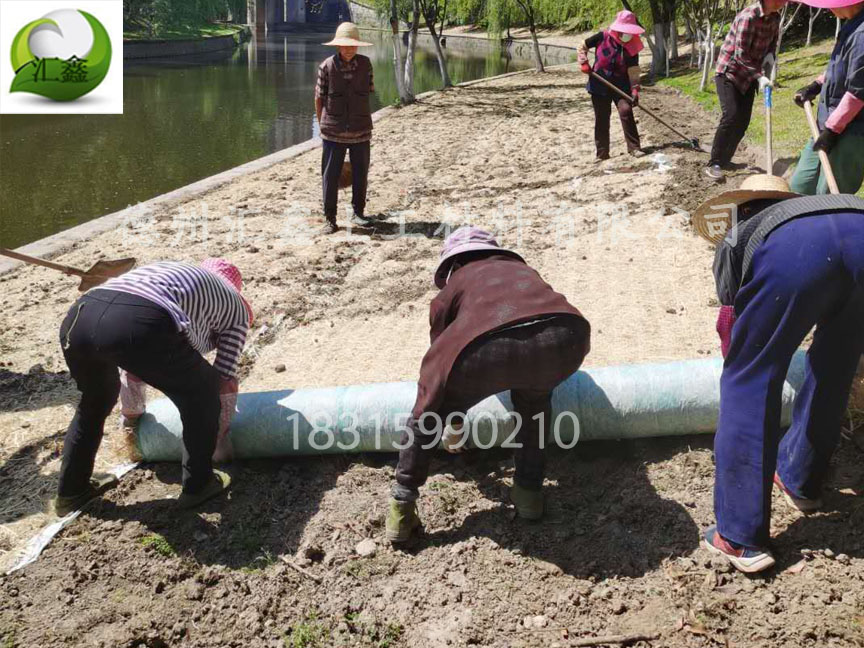 唐山公園人工湖邊坡護坡工程用草毯(圖2)