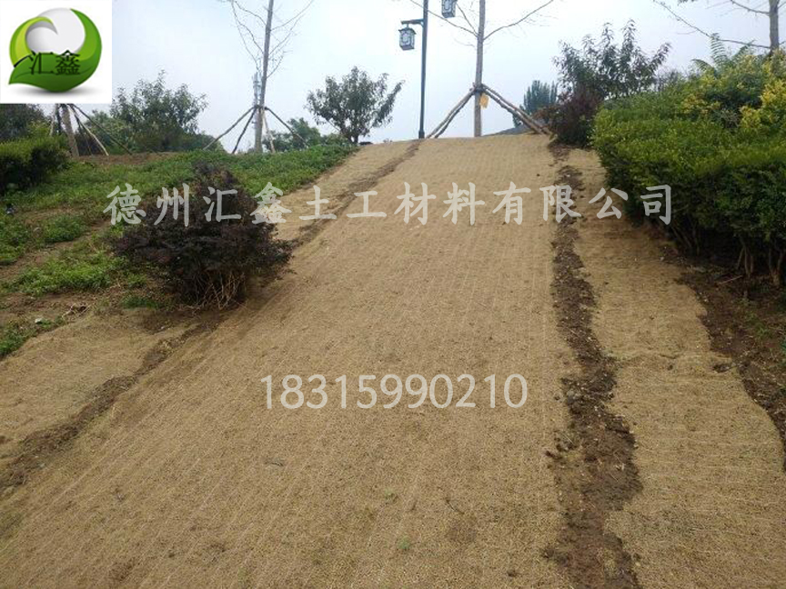 植物纖維毯與傳統草皮的對比(圖2)