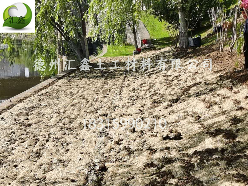生態草毯的好處(圖1) 生態草毯的好處(圖1)