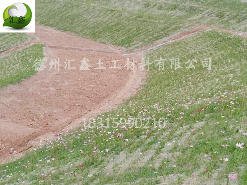 植物纖維毯鋪完要不要覆土?(圖2) 植物纖維毯鋪完要不要覆土?(圖2)