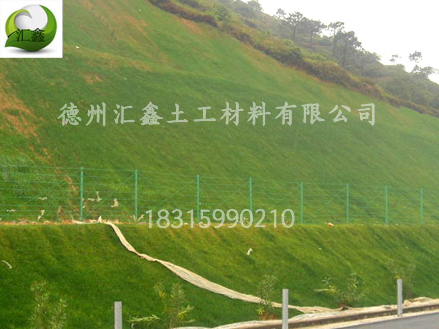 椰絲毯的植生能力怎么樣(圖2) 椰絲毯的植生能力怎么樣(圖2)
