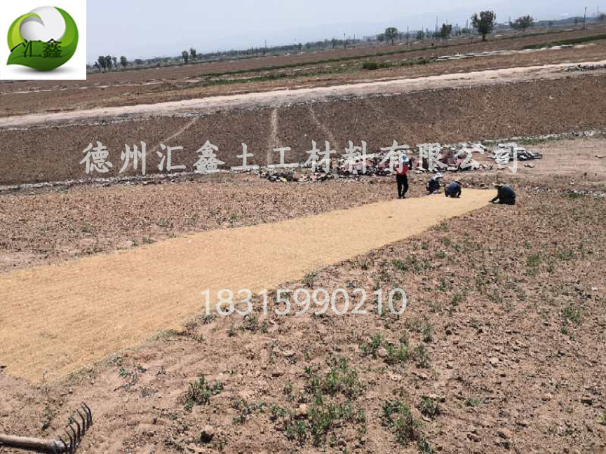 秸稈草毯和椰絲毯的區別(圖1) 秸稈草毯和椰絲毯的區別(圖1)