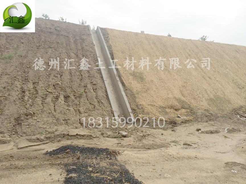 生態草毯有什么規格(圖1) 生態草毯有什么規格(圖1)