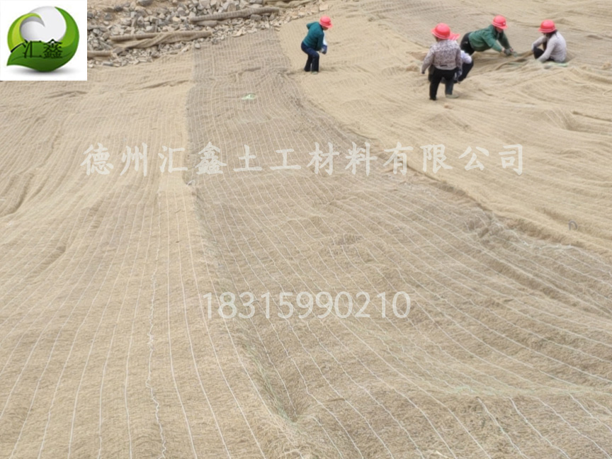 椰絲毯邊坡綠化的防護性(圖2) 椰絲毯邊坡綠化的防護性(圖2)