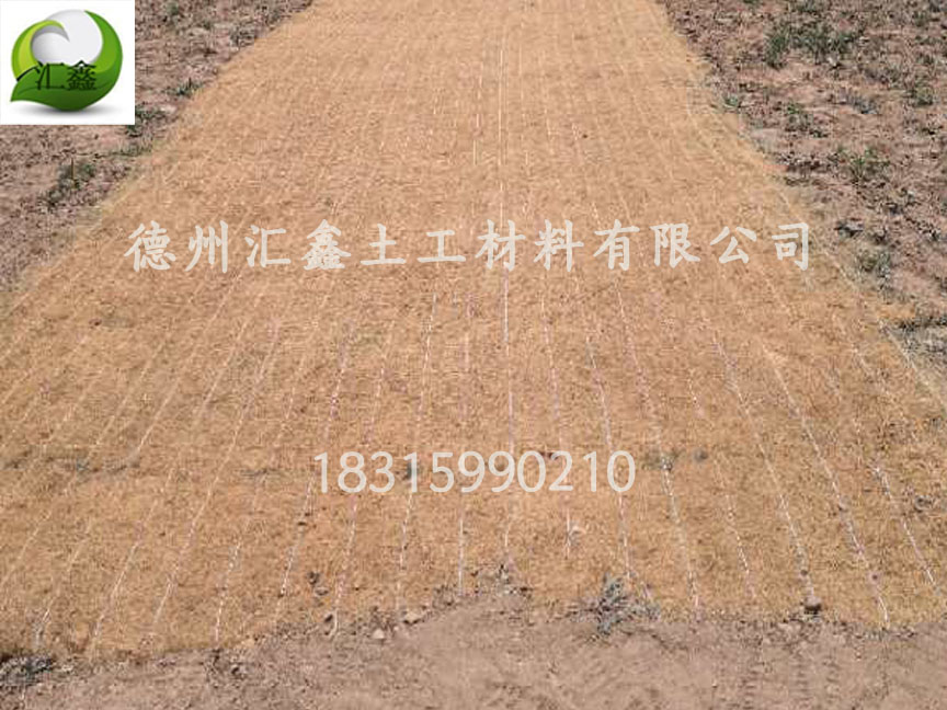 植被毯可以種植植物嗎?(圖2) 植被毯可以種植植物嗎?(圖2)