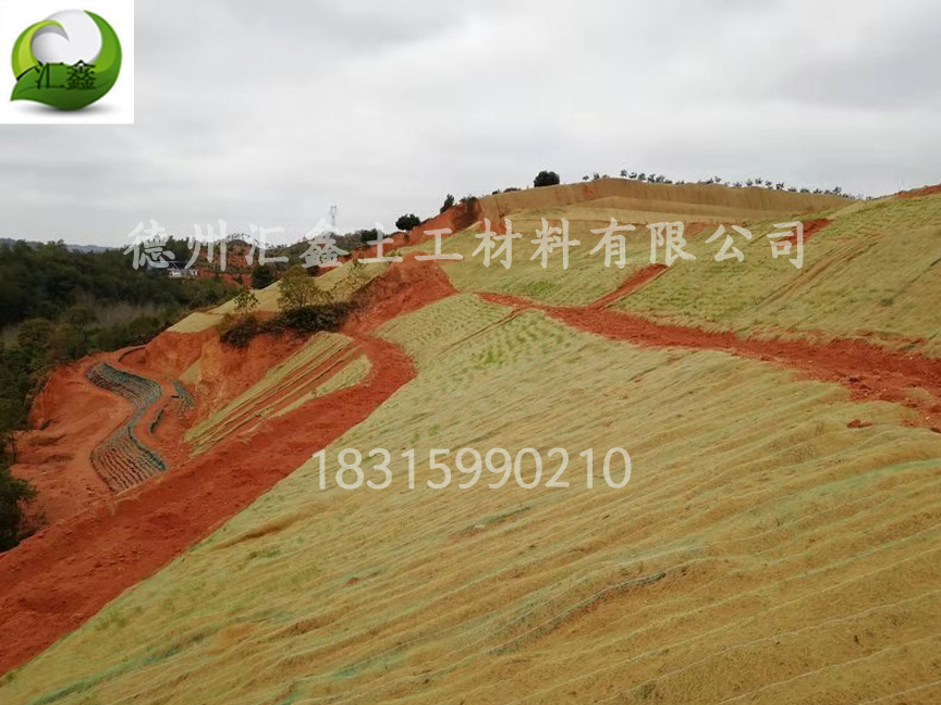 草毯可以降解嗎(圖1) 草毯可以降解嗎(圖1)