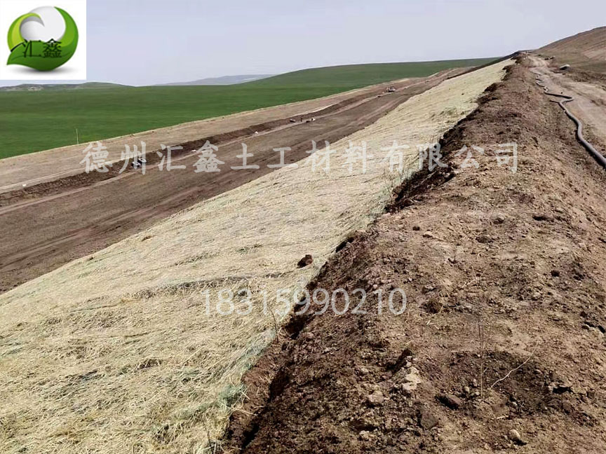 草毯可以降解嗎(圖2) 草毯可以降解嗎(圖2)