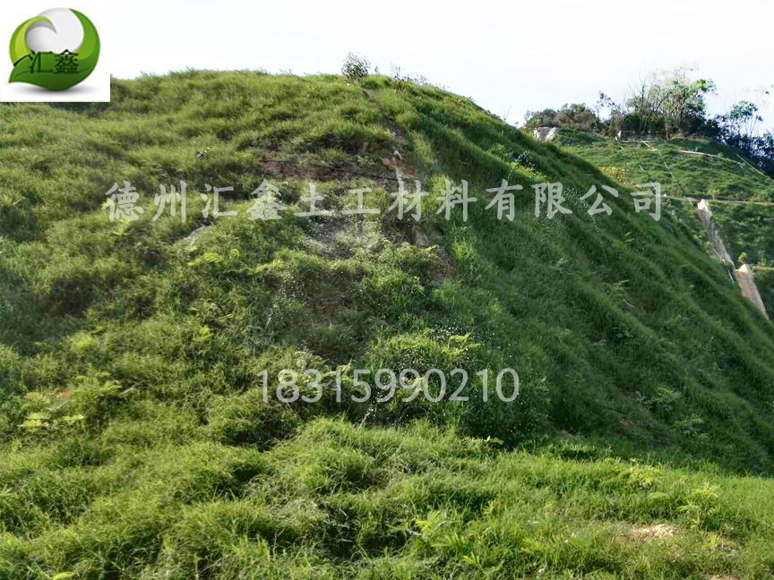 高邊坡植被毯的施工方案有何不同(圖2) 高邊坡植被毯的施工方案有何不同(圖2)