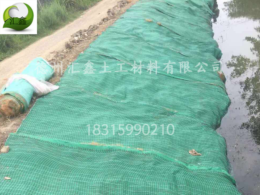 天津南站河道邊坡綠化用抗沖生物毯(圖1)