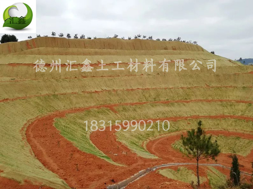 青藏高速G6段護坡工程用護坡植草毯(圖2)