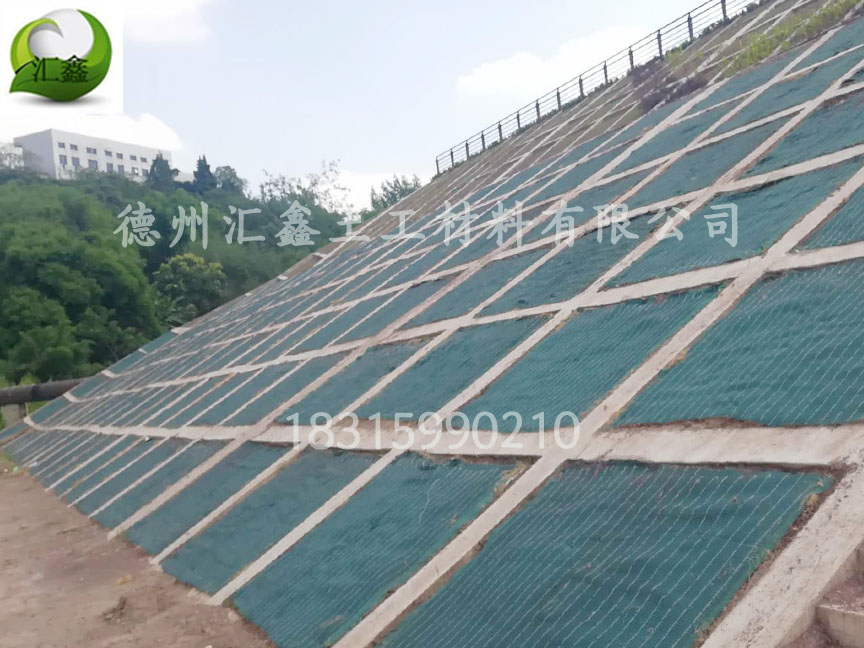 湖北荊州陳總采購抗沖生物毯335200㎡(圖1)