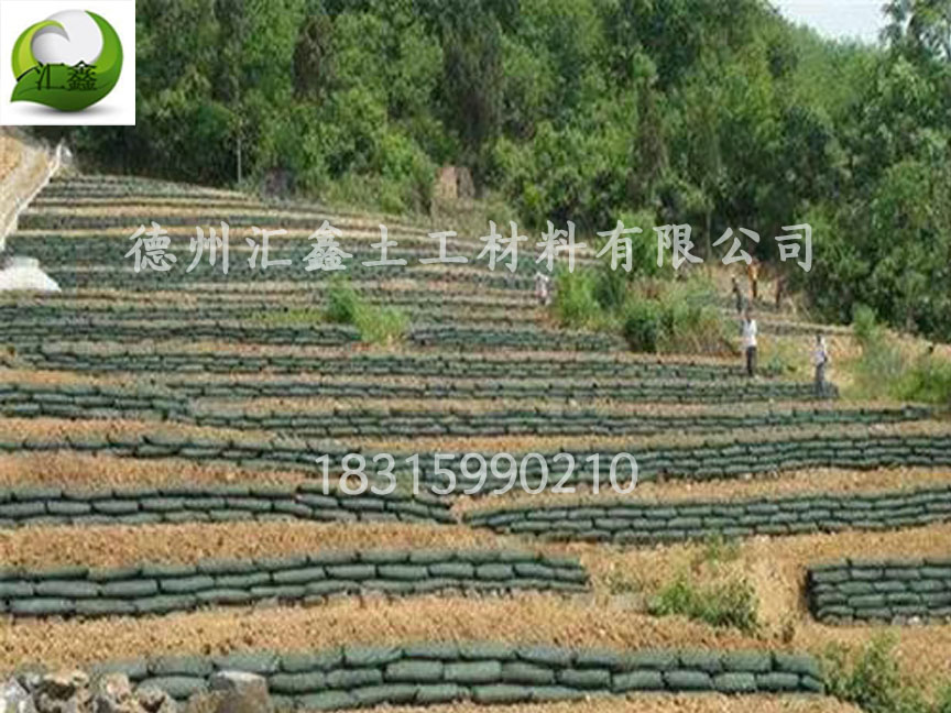 山東青島黃總采購生態袋400000條(圖1)
