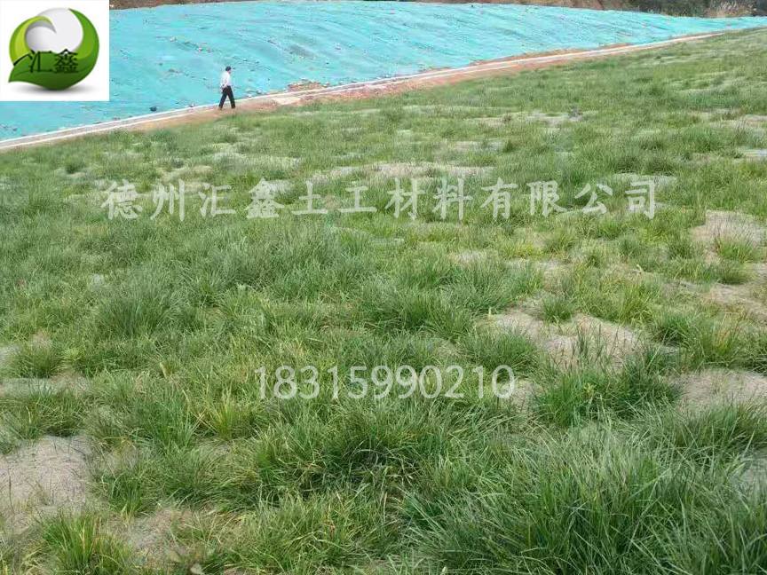 椰絲毯的優點跟缺點(圖1)