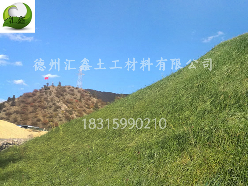 生態(tài)草毯的價(jià)格(圖2) 生態(tài)草毯的價(jià)格(圖2)
