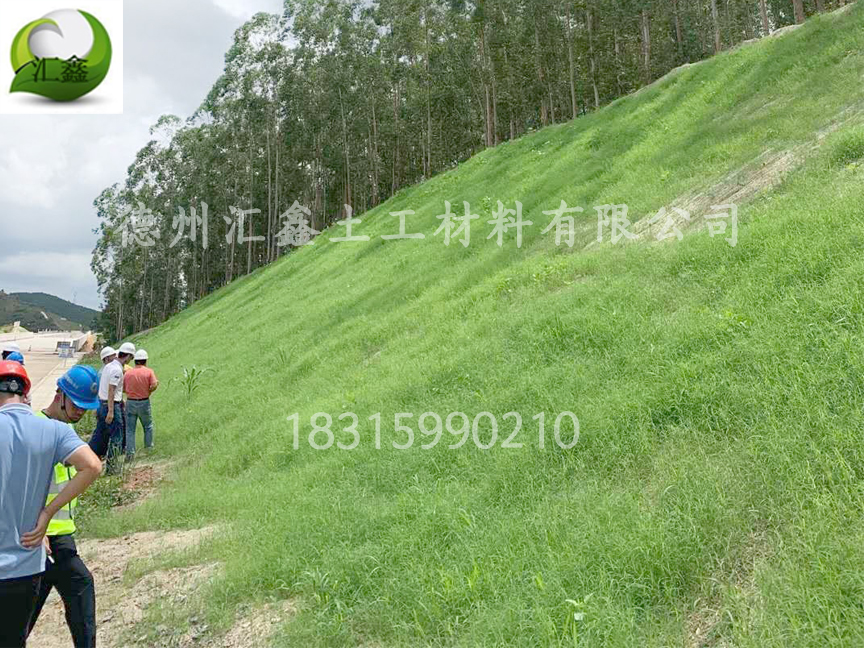 護坡綠化材料中椰絲毯與抗沖椰墊有什么不同(圖1) 護坡綠化材料中椰絲毯與抗沖椰墊有什么不同(圖1)
