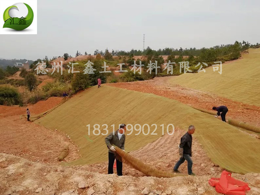 護坡綠化材料中椰絲毯與抗沖椰墊有什么不同(圖2) 護坡綠化材料中椰絲毯與抗沖椰墊有什么不同(圖2)