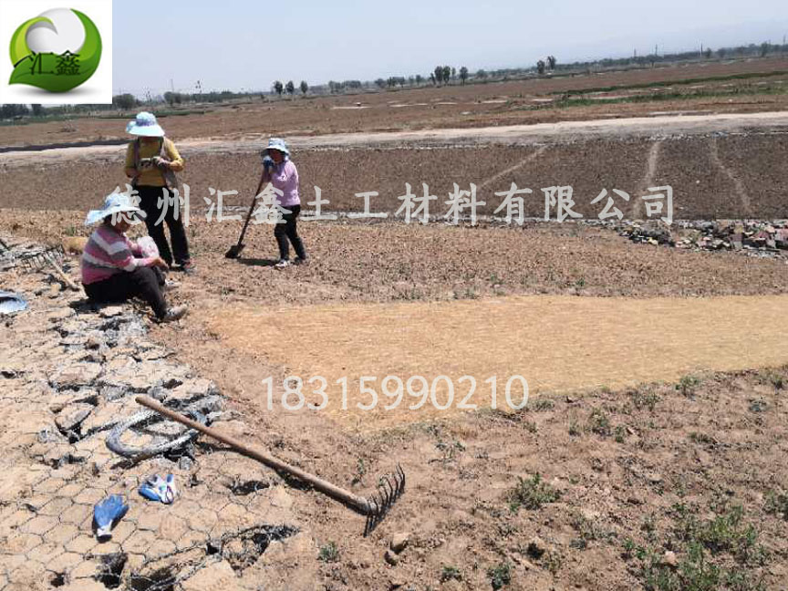 河道護坡綠化護坡植草毯(圖3) 河道護坡綠化護坡植草毯(圖3)
