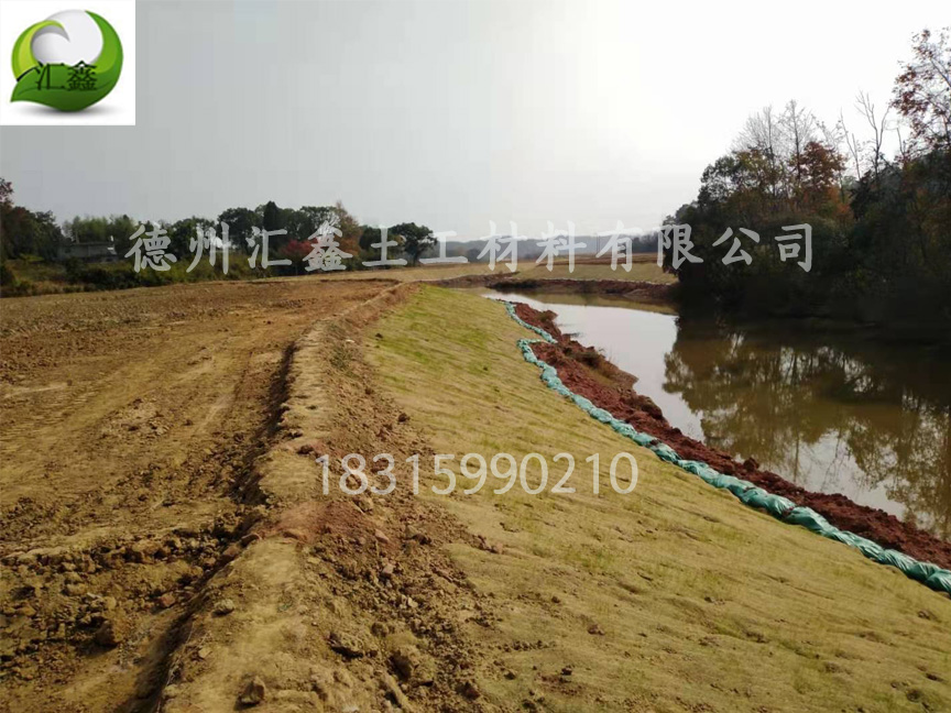 河道護坡綠化護坡植草毯(圖1) 河道護坡綠化護坡植草毯(圖1)