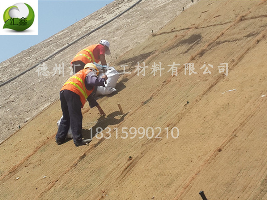 植物纖維毯是什么?有什么特點?(圖3) 植物纖維毯是什么?有什么特點?(圖3)