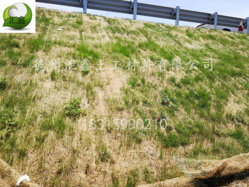 高速公路邊坡綠化用什么?(圖2) 高速公路邊坡綠化用什么?(圖2)