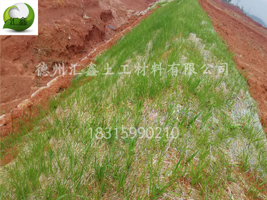 植生毯應用在哪些地方？(圖2)