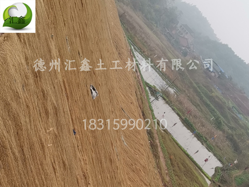 護坡植草毯有什么特點?(圖3) 護坡植草毯有什么特點?(圖3)
