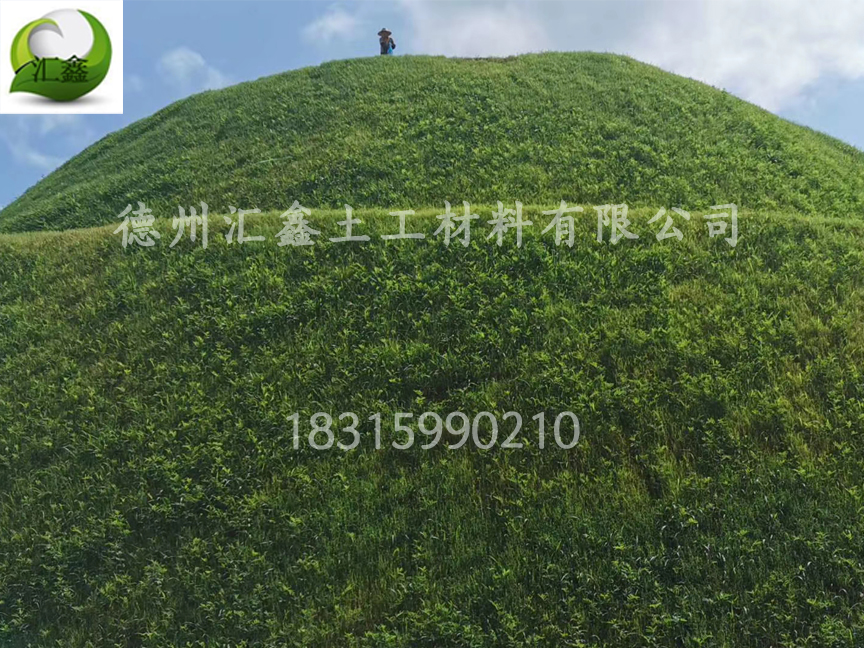 生態(tài)草毯是怎樣恢復(fù)生態(tài)的?(圖1) 生態(tài)草毯是怎樣恢復(fù)生態(tài)的?(圖1)