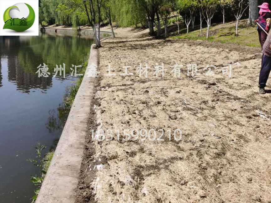 生態草毯護坡綠化(圖3)