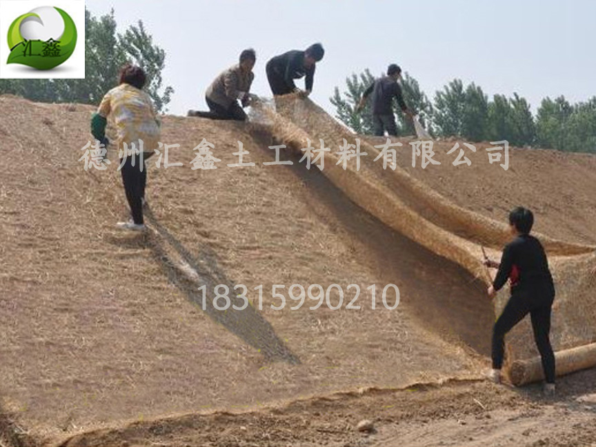 植被毯的特點(圖1)